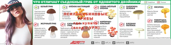 гидра Армянск