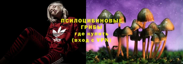 а пвп мука Карпинск