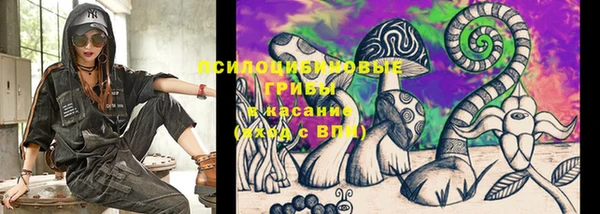 мет Касимов