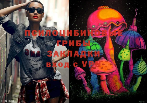 мяу мяу мука Инсар