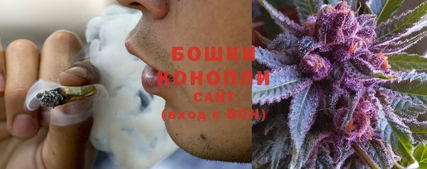 PSILOCYBIN Лагань