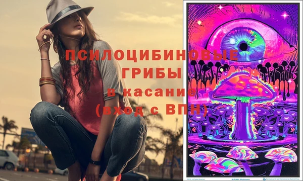 твердый Арсеньев