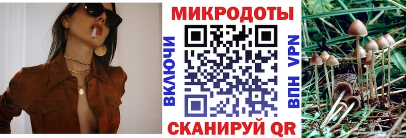 Псилоцибиновые грибы Psilocybe Таруса