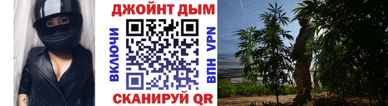 МАРИХУАНА сатива  Таруса 